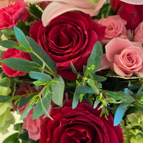 MEET THE POSHER - Picture 1 of 3